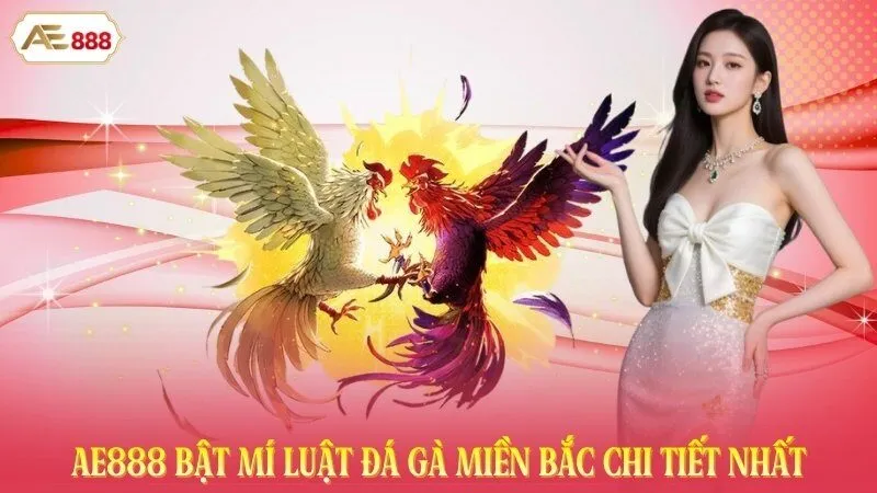 AE888 Bật Mí Luật Đá Gà Miền Bắc Chi Tiết Nhất