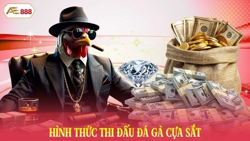 Đôi nét về hình thức thi đấu đá gà cựa sắt