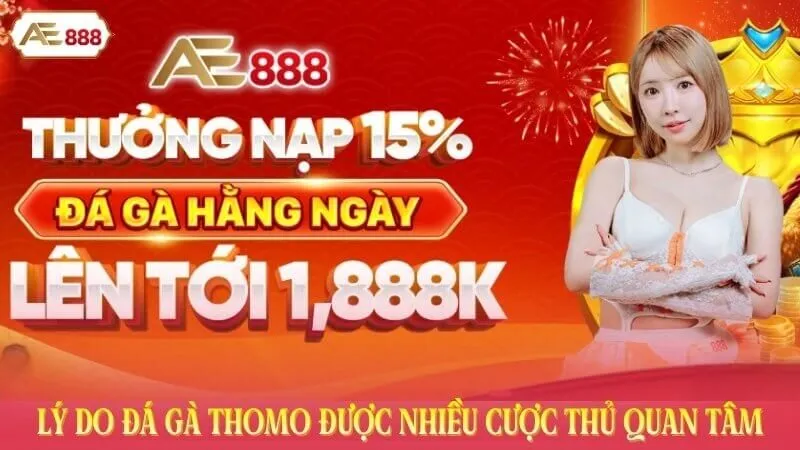 Lý do đá gà Thomo được nhiều cược thủ quan tâm